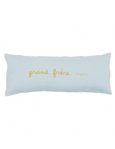 Coussin Smoothie - Aqua une grave pollution 